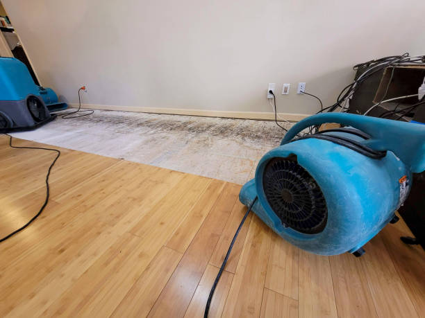 Professional Sewage Cleanup technician working in Stockton, NJ
